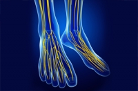 What Is Charcot-Marie-Tooth Disease?